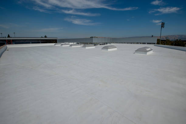 Best Roof Insulation Installation  in Eufaula, AL