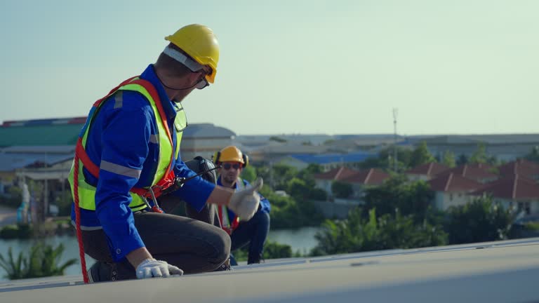 Best Skylight Installation and Repair  in Eufaula, AL