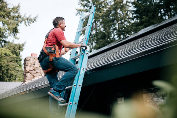 Best Storm Damage Roof Repair  in Eufaula, AL