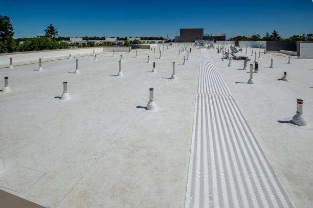 Best Solar Panel Roofing Installation  in Eufaula, AL